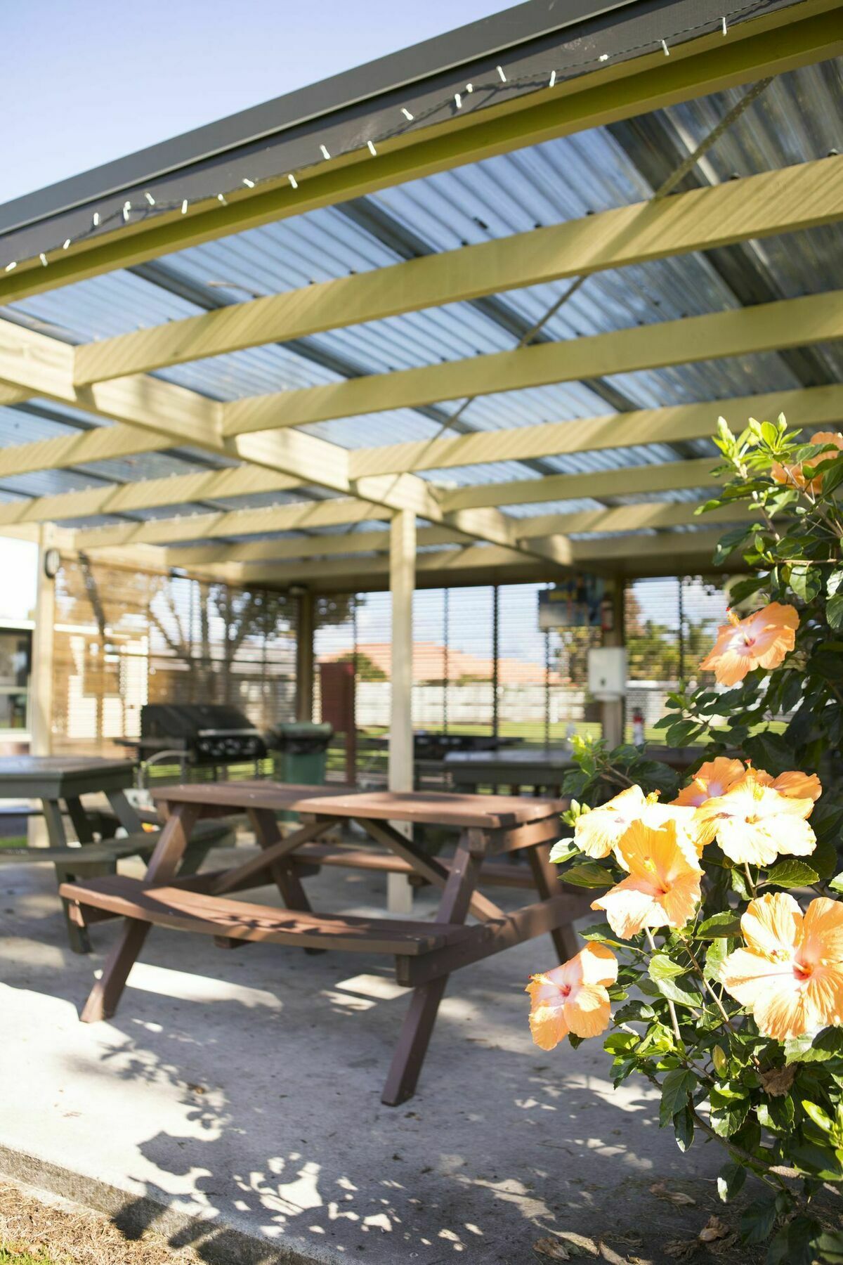 Mercury Bay Holiday Park Whitianga Eksteriør billede